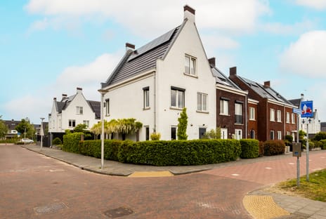 De Druivenmuur thumbnail