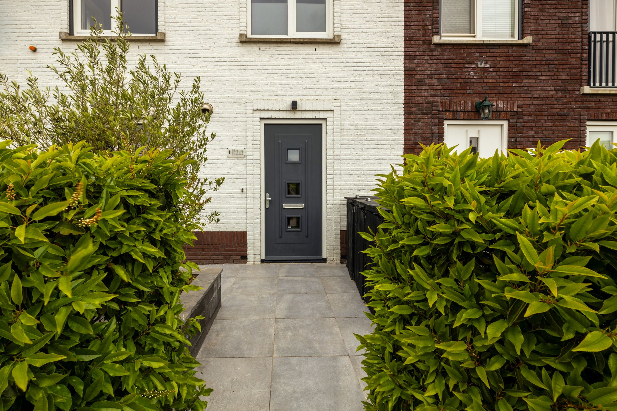 Photo 6 of De Druivenmuur 1