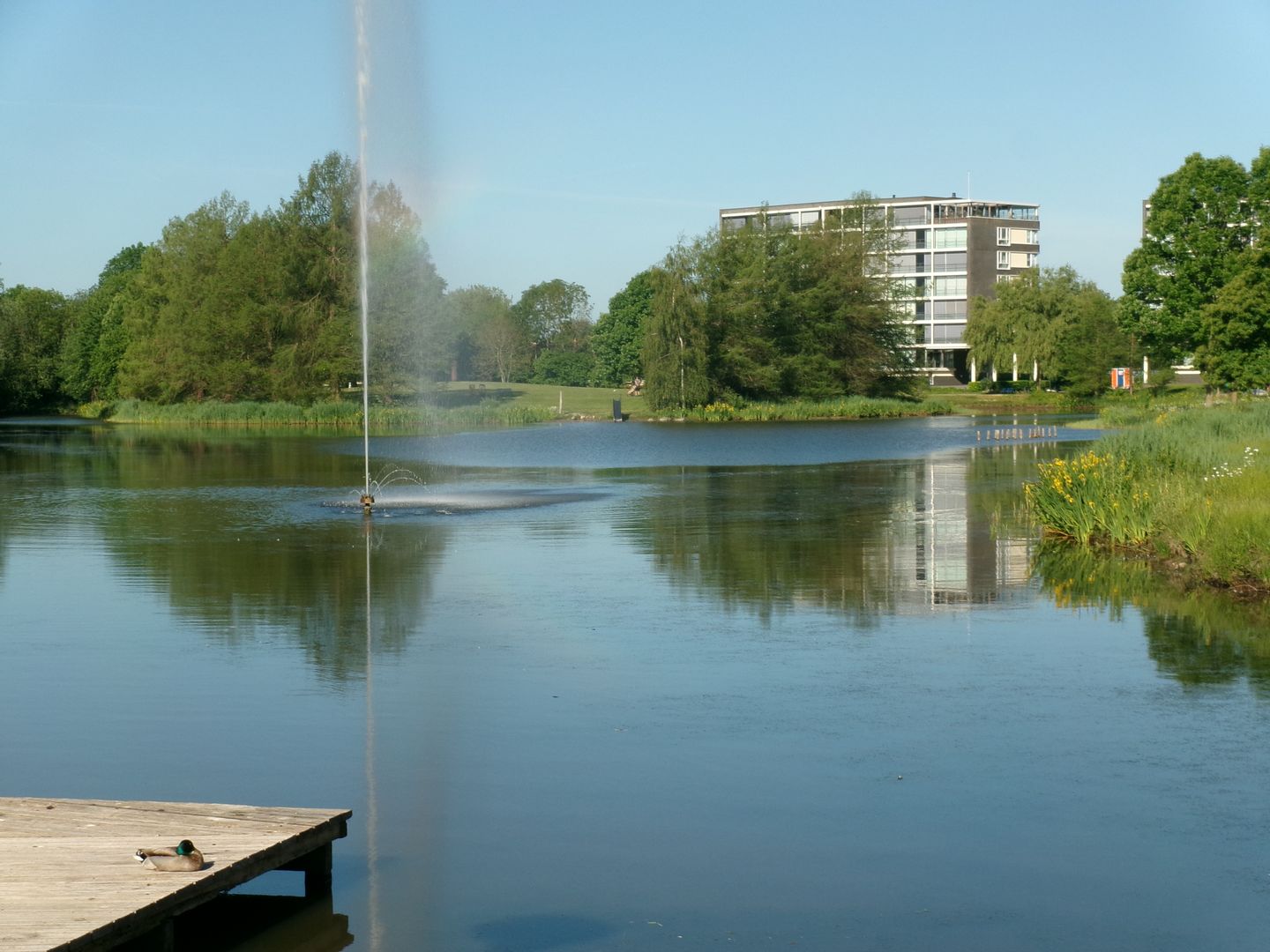Foto 4 van Fabriciuslaan 3-50