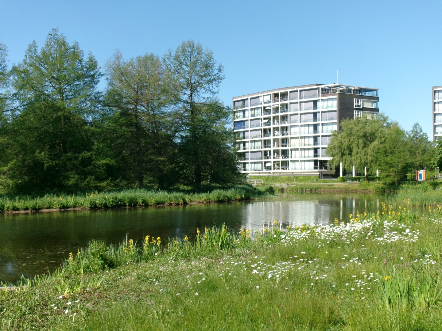 Foto 5 van Fabriciuslaan 3-50