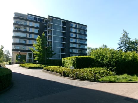 Fabriciuslaan thumbnail