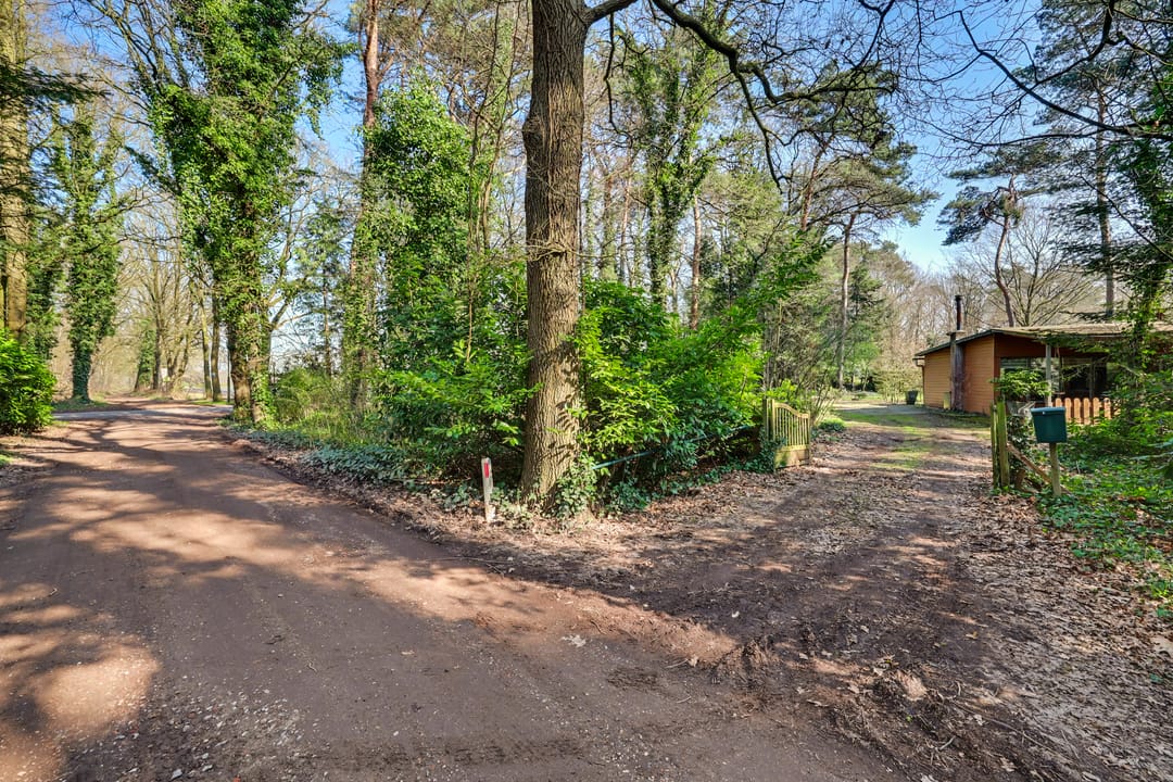 Foto 43 van Spechtbos 8