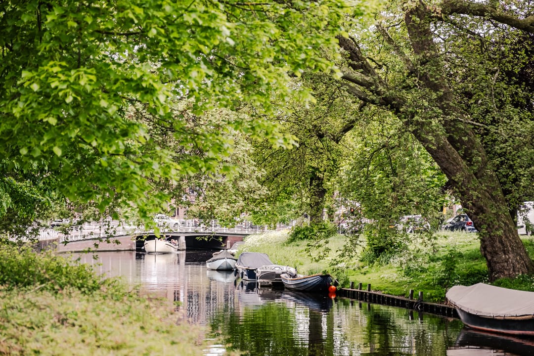 Foto 43 van Raamsingel 14-D