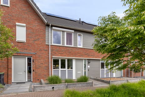 Kiekendief thumbnail