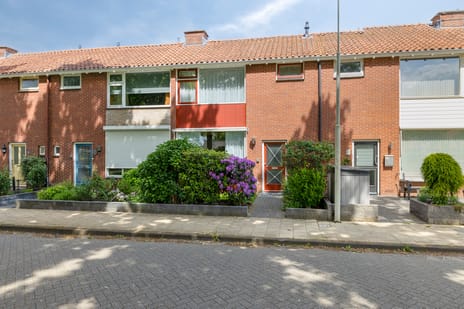 Leliestraat thumbnail