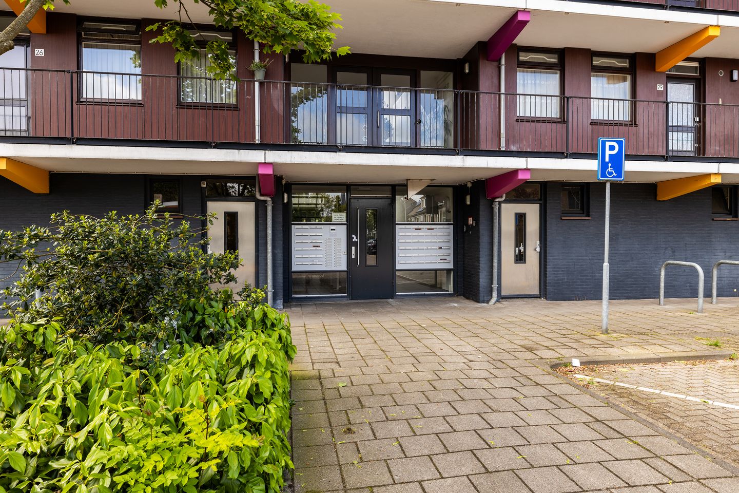 Foto 5 van Gele Kwikstaart 63