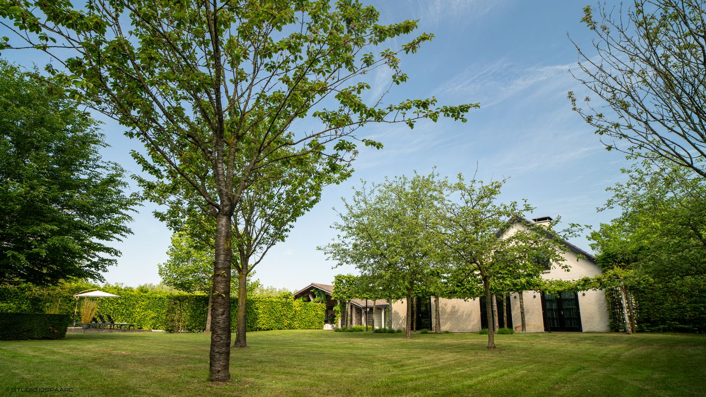 Photo 64 of Overaseweg 230