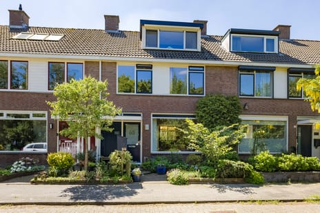 van Ostadestraat thumbnail