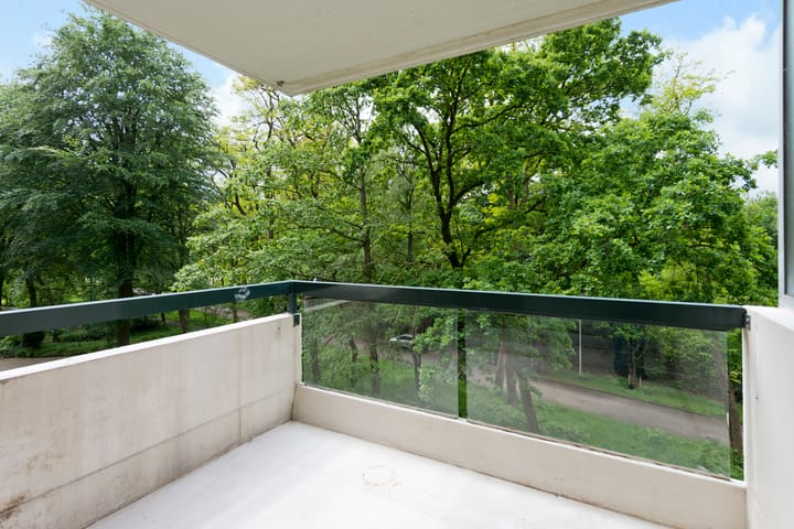 Foto 4 van Kapelleboom 17