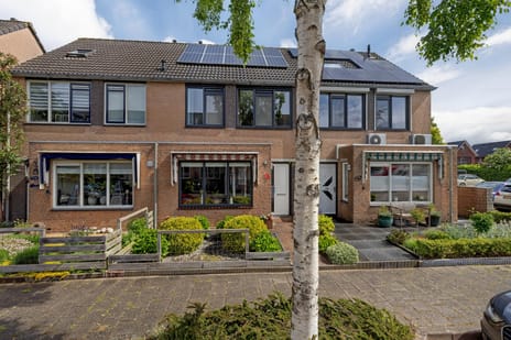 Perkstraat thumbnail