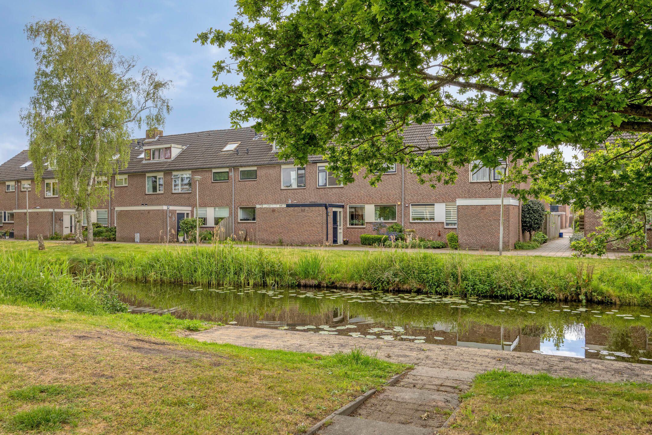 Foto 45 van Kievitshorn 6
