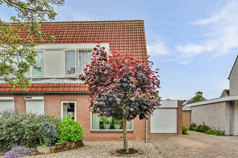 Elstarstraat thumbnail