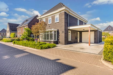 Boterbloem thumbnail