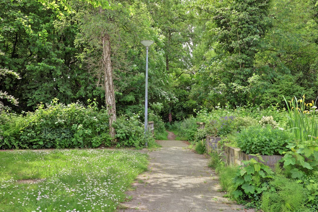 Foto 46 van Zuidhoek 28