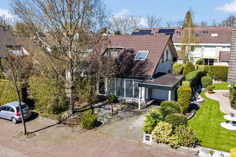 Sleutelbloem thumbnail