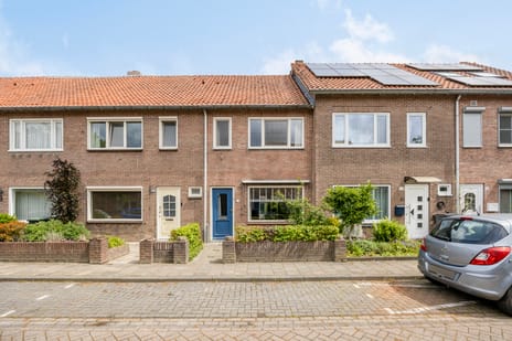 Steenbergenstraat thumbnail