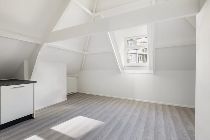 Foto 4 van Diergaardesingel 94-D
