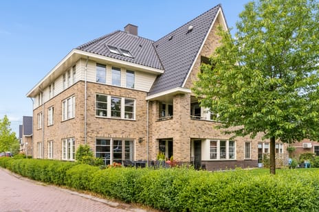 Rozeboomlaan thumbnail