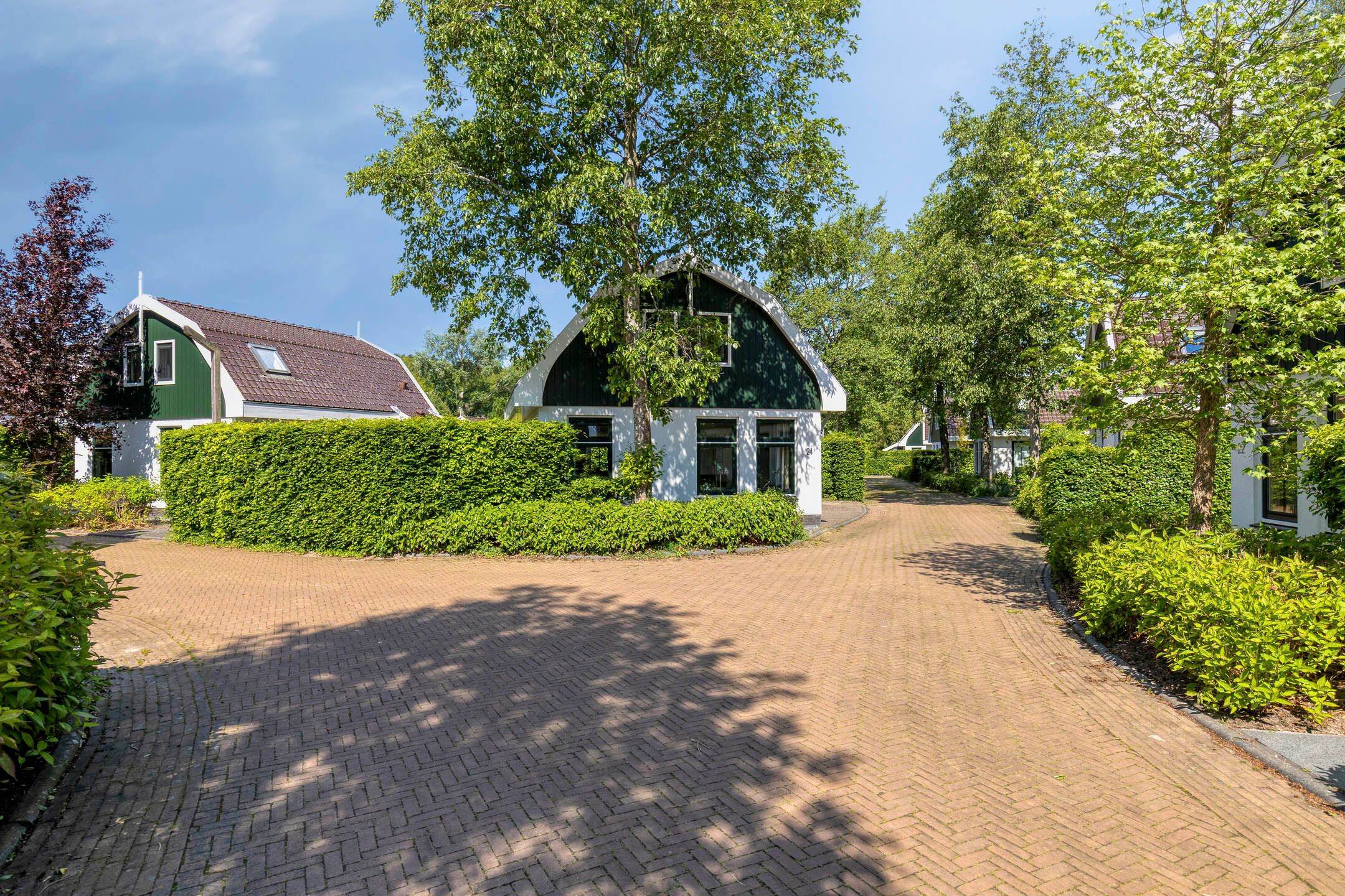3-bedroom freehold villa in Schoorl — photo 4 of 5