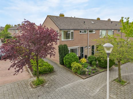 Lepelaarstraat thumbnail