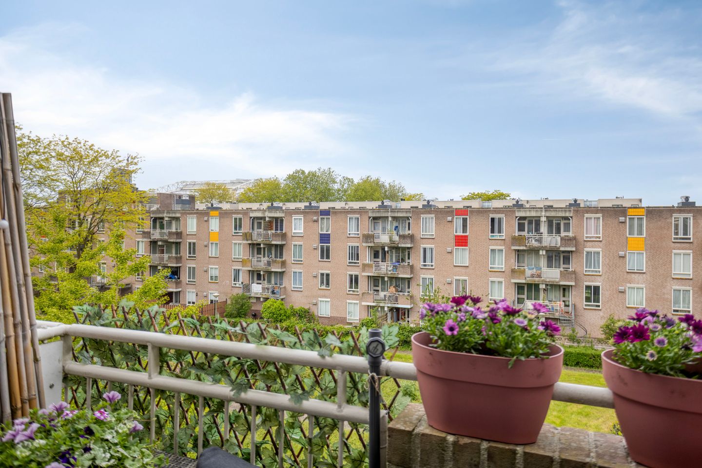 Foto 29 van Bernard Shawsingel 268