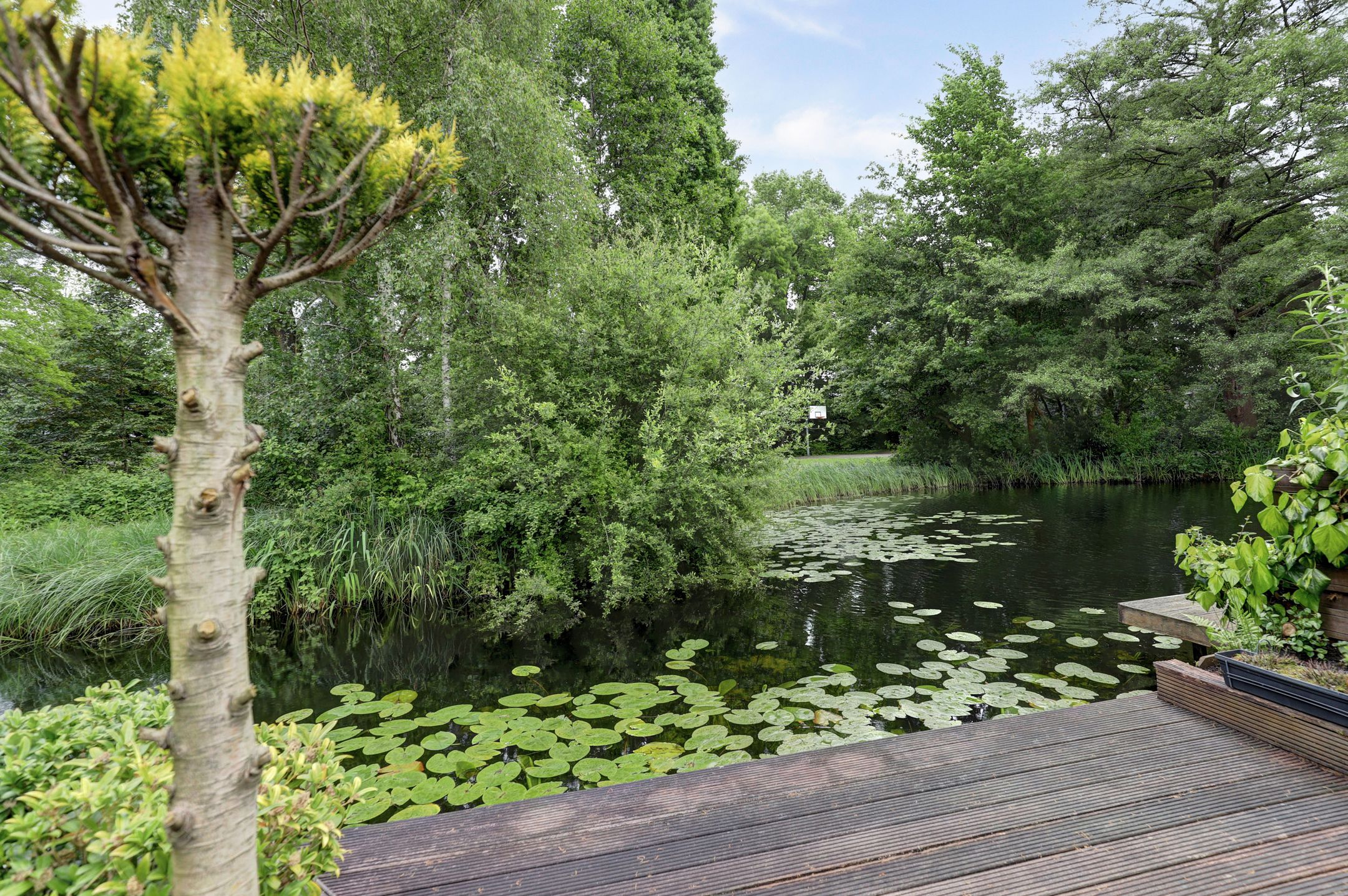 Spacious Terraced Home with Water Views in Gouda's Water- en Grassenbuurt — 33
