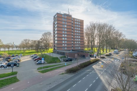 Havendijk thumbnail
