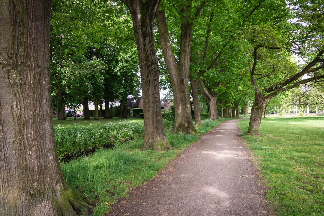 Foto 47 van Van Limburg Stirumlaan 4