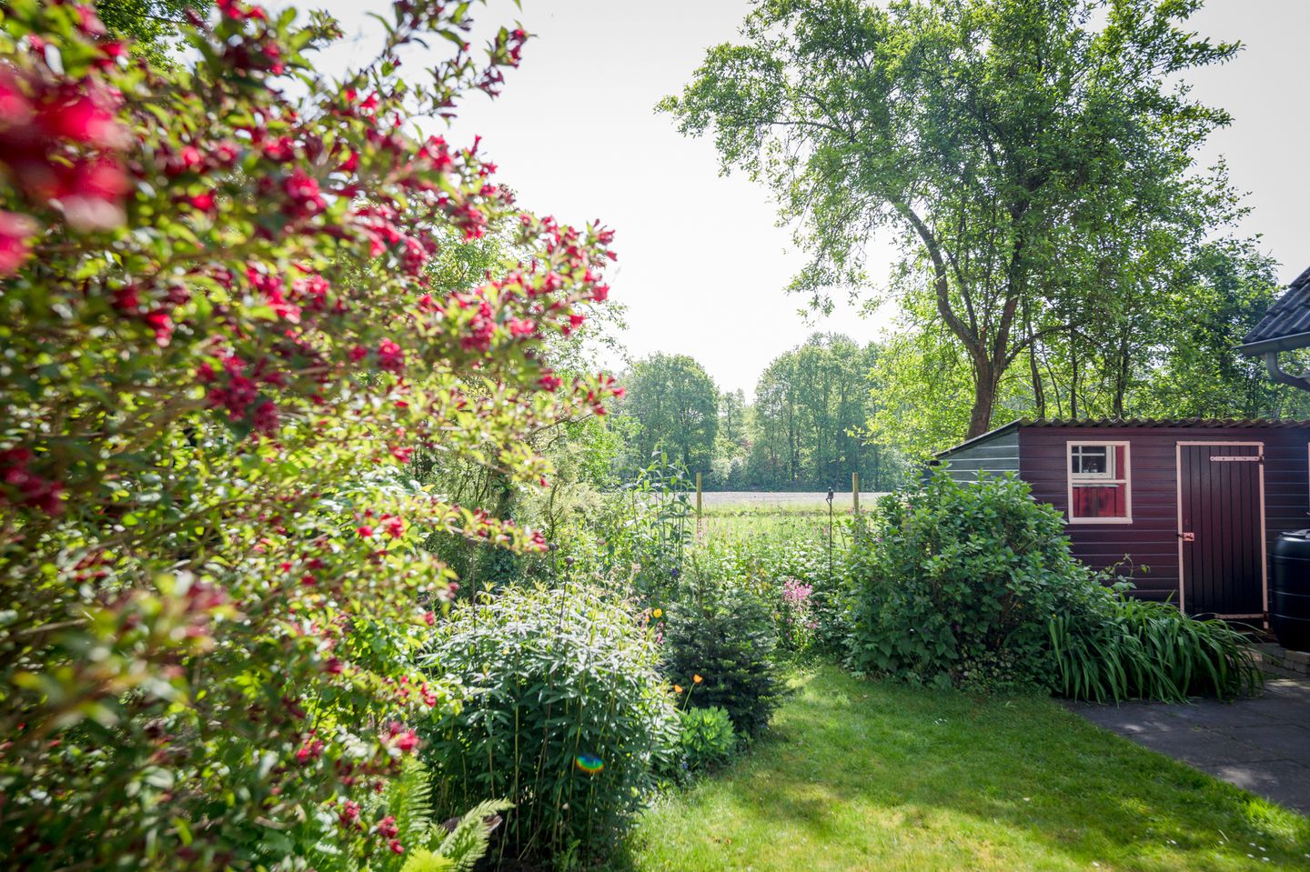 Foto 4 van Laagduurswoude 18