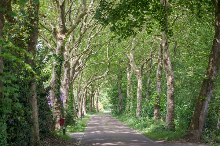 Photo 2 of Laagduurswoude 18