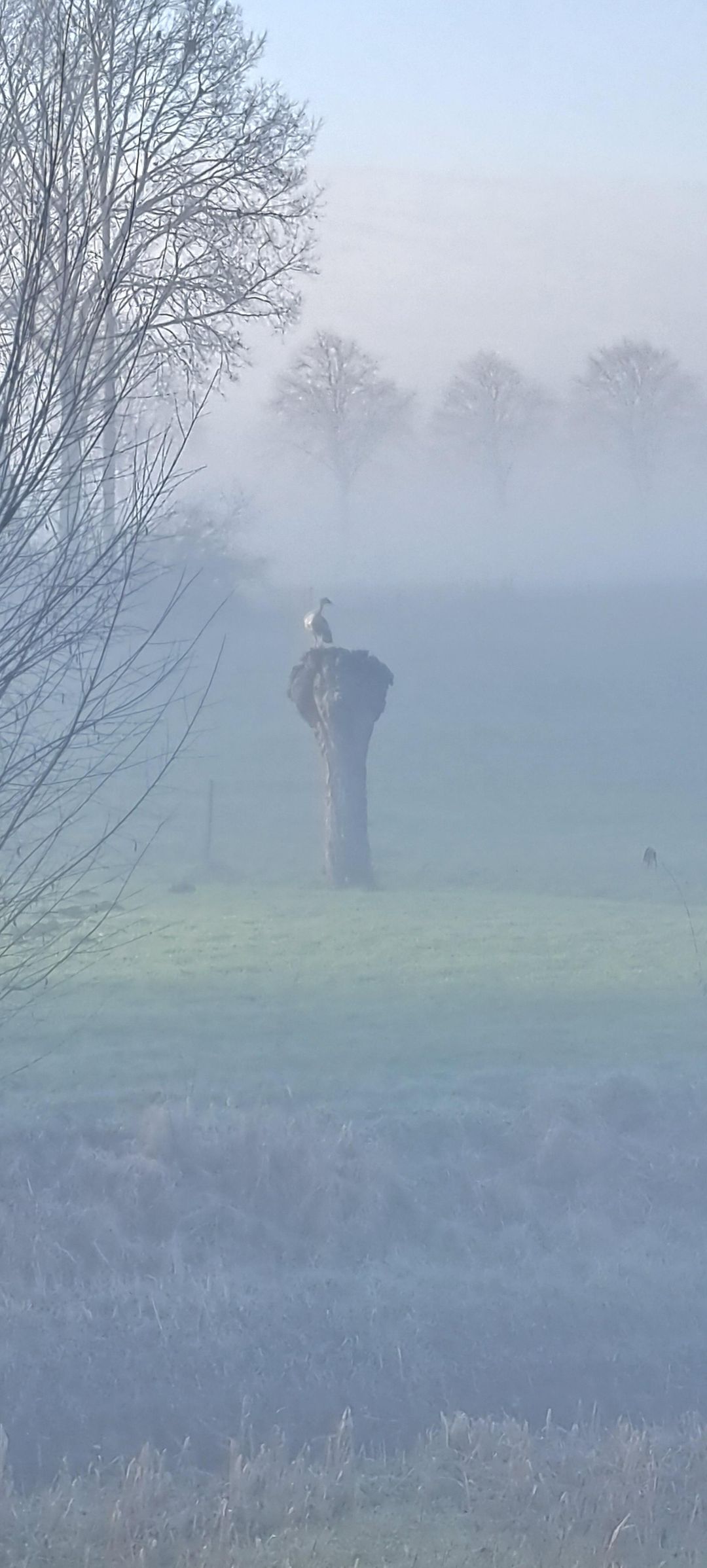 Foto 46 van Groenkazerne 54
