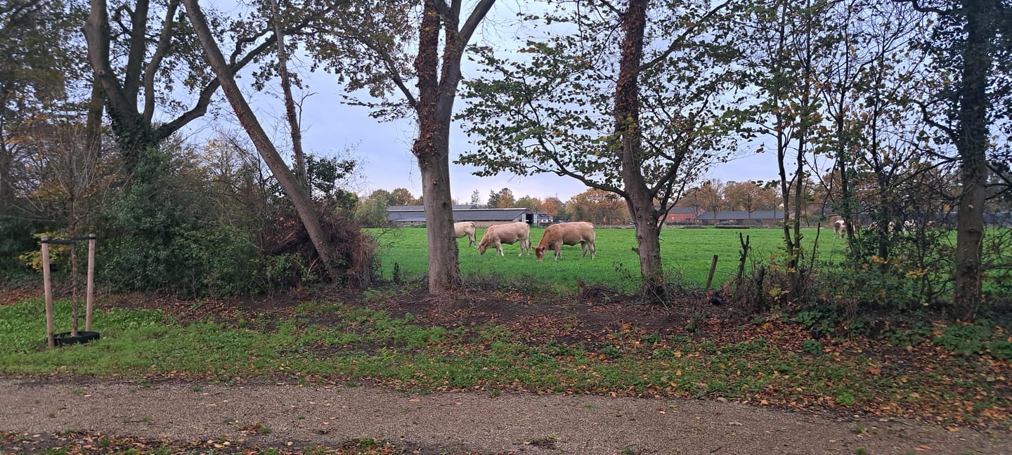 Foto 44 van Groenkazerne 54