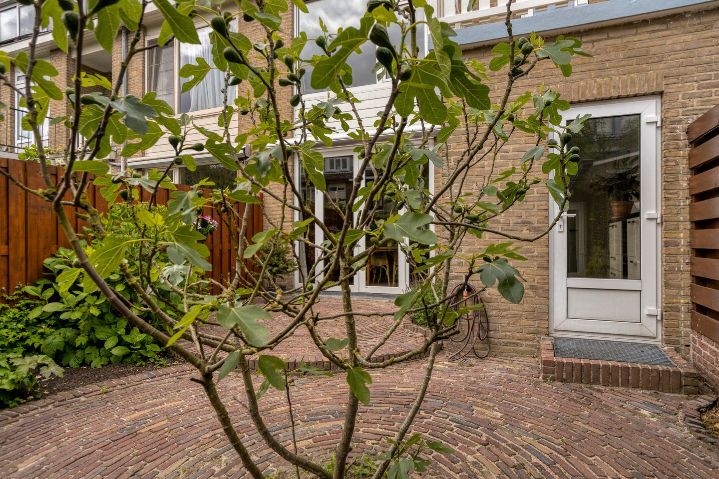 Photo 35 of Witte de Withlaan 14