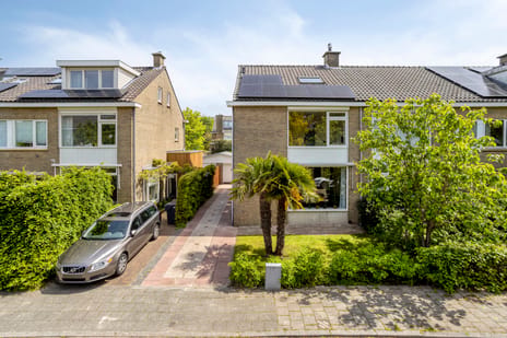 Witte de Withlaan thumbnail