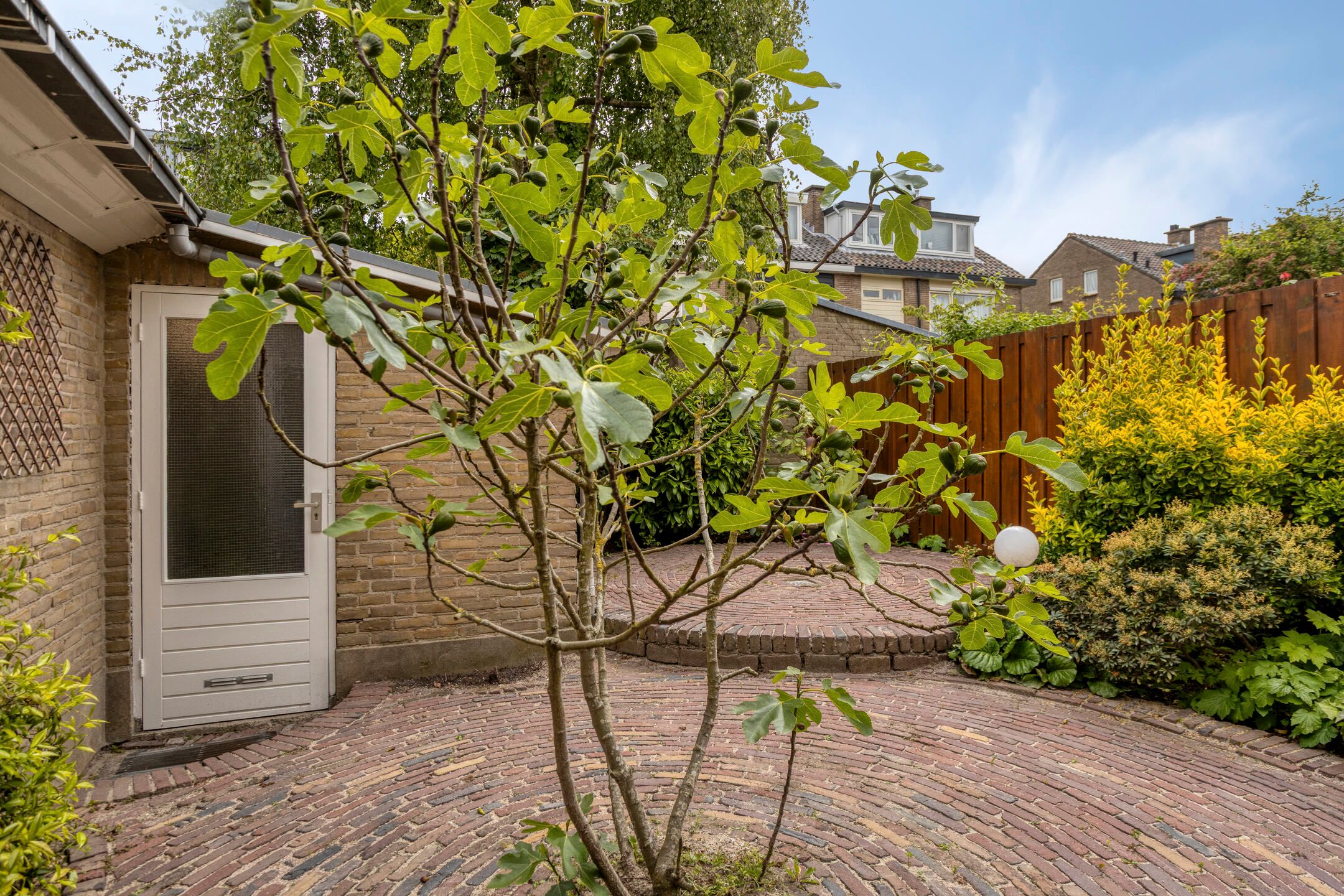 Photo 36 of Witte de Withlaan 14