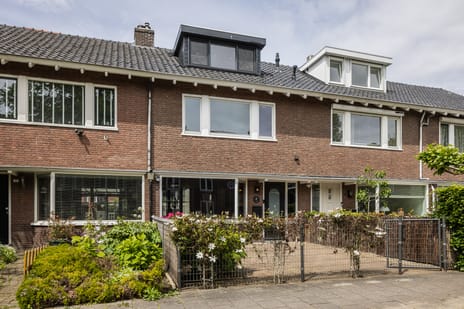 Ranonkelstraat thumbnail