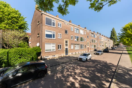 Lepelaarsingel thumbnail