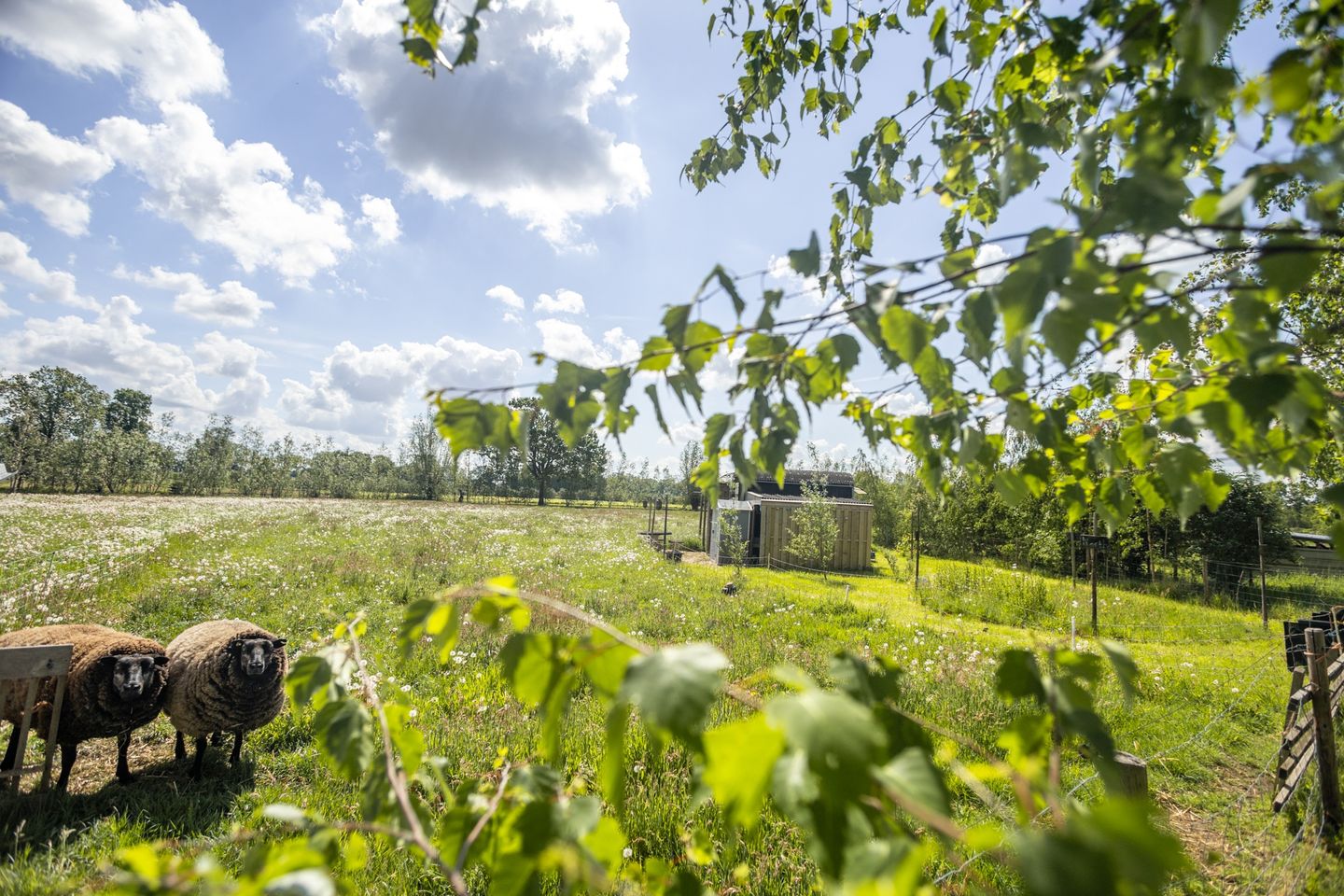 Self-Sufficient Nature Estate with B&B Facilities and Extensive Land — 65