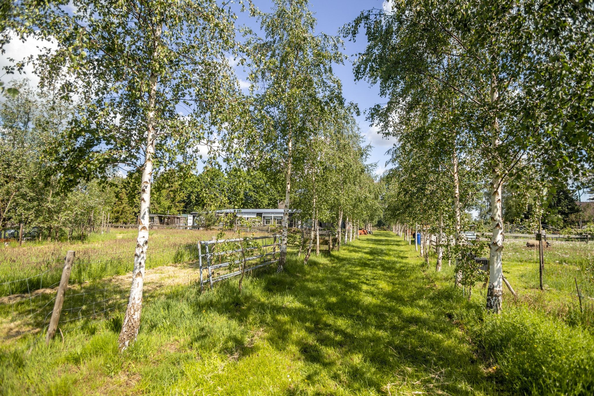 Self-Sufficient Nature Estate with B&B Facilities and Extensive Land — 63