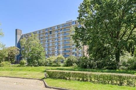 Boerhaavelaan thumbnail