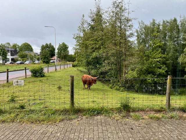 Foto 47 van Bijsterveldenlaan 219