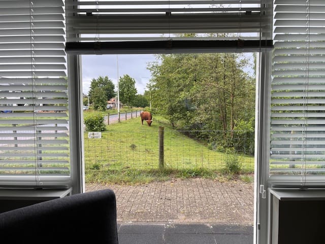 Foto 48 van Bijsterveldenlaan 219