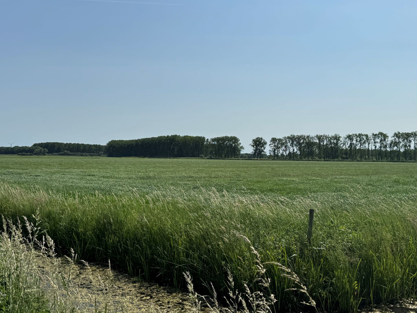 Oude Hoevenseweg - Tricht - Afbeelding 1