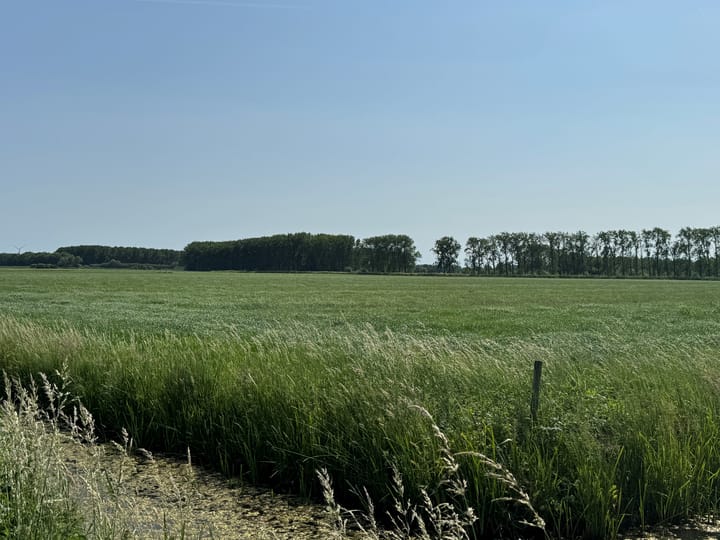 Oude Hoevenseweg, Tricht