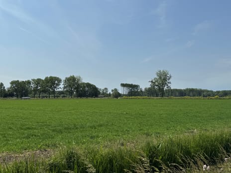 Bekijk foto's
