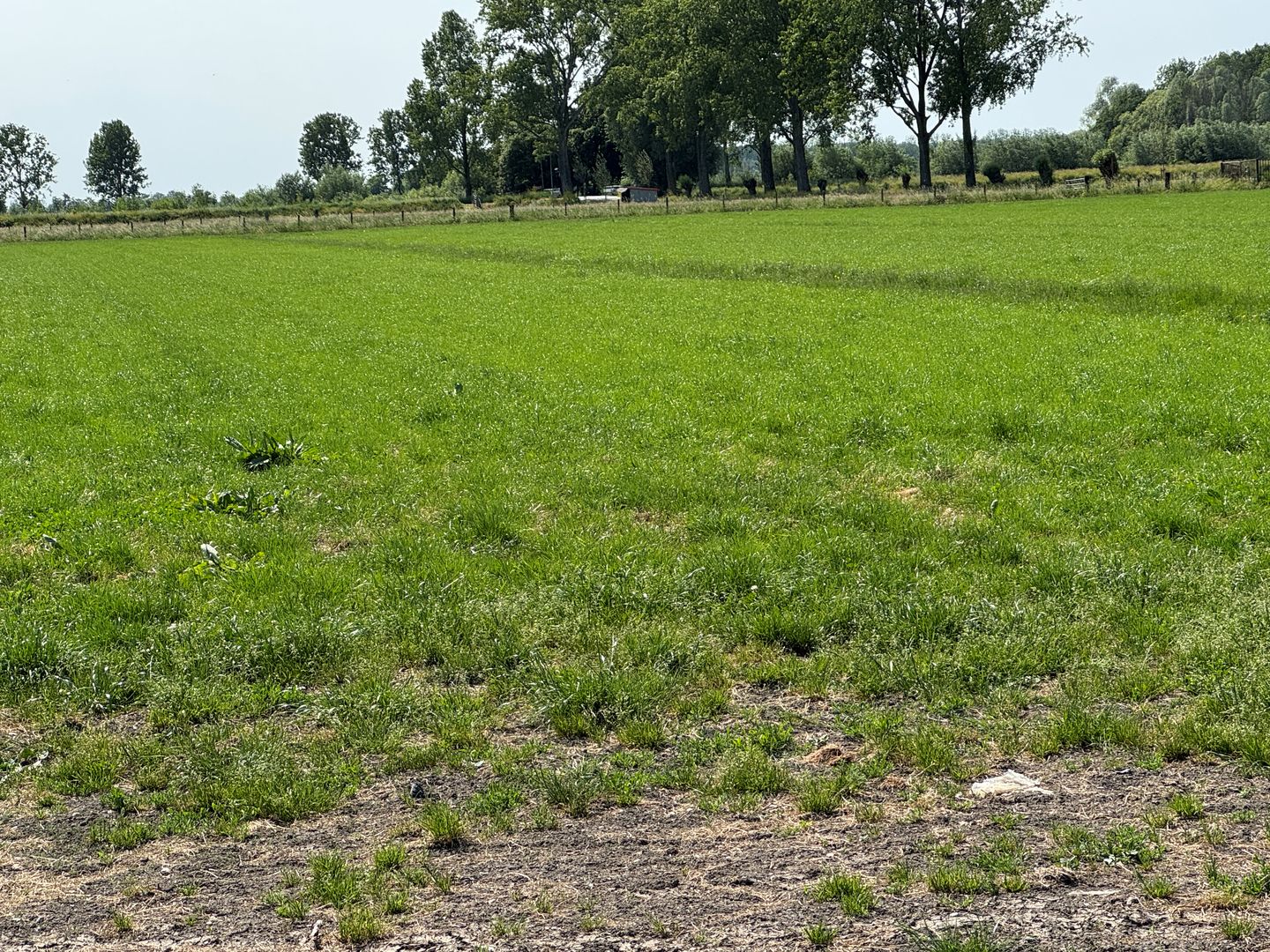 Bekijk foto 3 van Oude Hoevenseweg