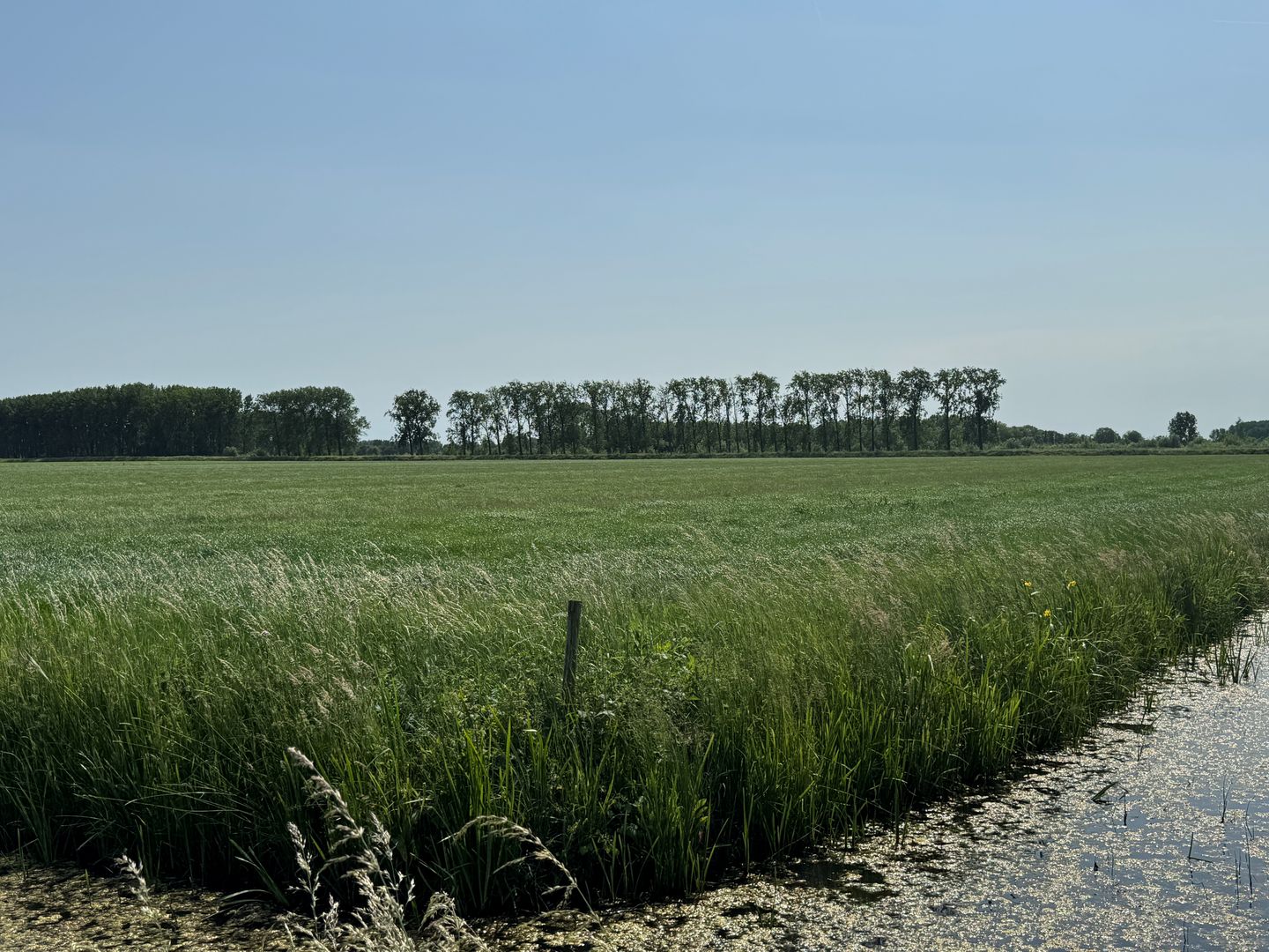 Bekijk foto 4 van Oude Hoevenseweg