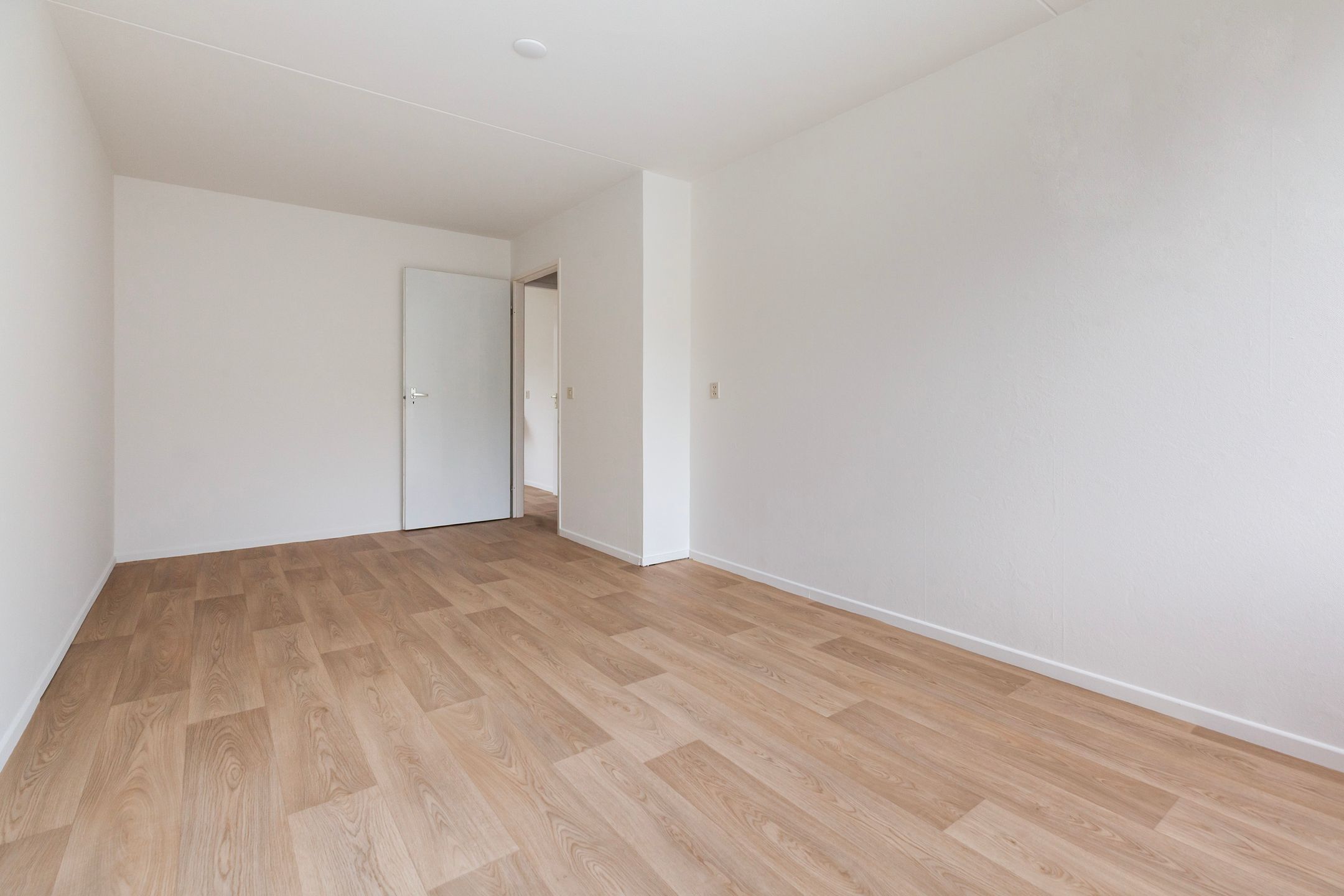 Photo 12 of Willem-Alexanderplantsoen 65