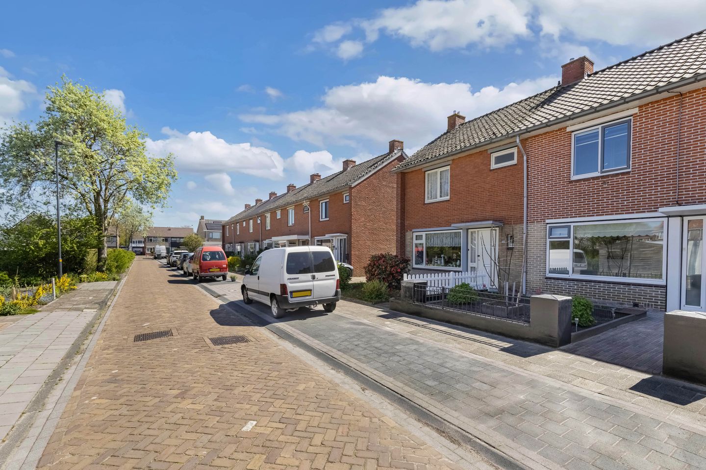 Foto 40 van Ureterperend 14