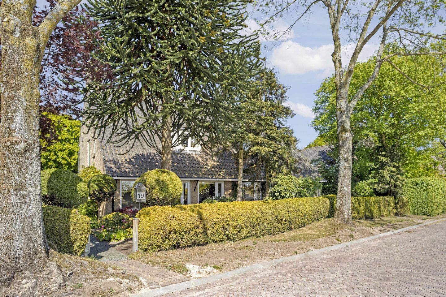 Foto 5 van Elbertsveen 19